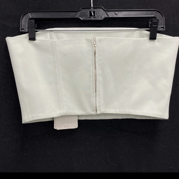 NWT SCANLAN THEODORE Light Green Bustier Crop Cropped Tube Top 10 MSRP $300 - Picture 2 of 9